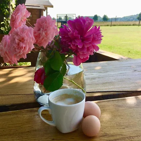 Ferienresidenz Glueck Auf Dem Lande Im Ostseeland Farma