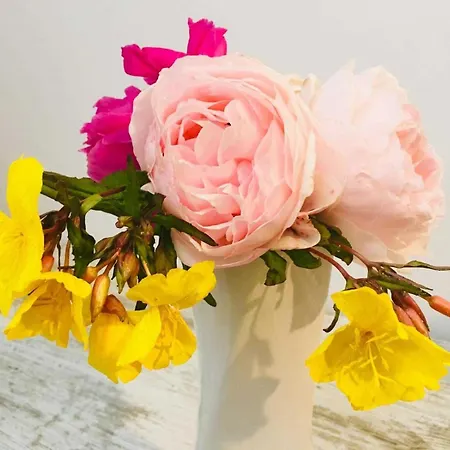 Farma Ferienresidenz Glueck Auf Dem Lande Im Ostseeland Buttelkow